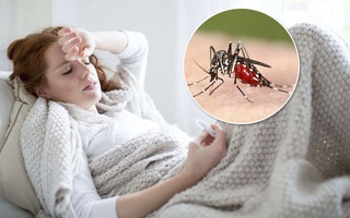 Những điều cần biết về cách phòng bệnh sốt rét