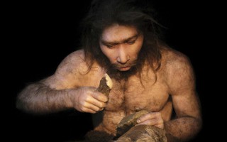 Nghiên cứu mới: Người hiện đại và người Neanderthal đã từng "vay mượn công nghệ" để cùng tồn tại 