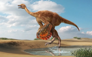 Phát hiện loài khủng long giống "đà điểu khổng lồ" từng sinh sống cách đây 85 triệu năm!
