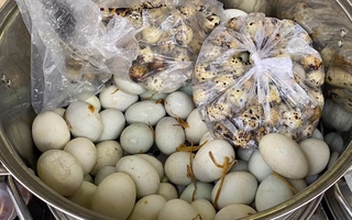 Tiệm trứng vịt lộn đắt khách ở TPHCM nhờ cách luộc đặc biệt
