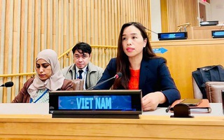 Việt Nam kêu gọi loại bỏ phân biệt đối xử với phụ nữ, trẻ em gái