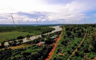 Cánh đồng điện gió ở Gia Lai: Từ đòn bẩy kinh tế đến điểm du lịch hấp dẫn