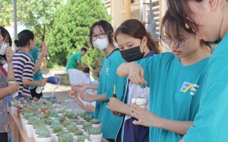 Điện Biên: Nhóm học sinh THPT thu hơn 4 tấn giấy từ chương trình "Đổi giấy lấy cây"