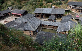 Ngôi làng nằm giữa ao tù nước đọng nhưng hơn 100 năm không có muỗi ở Trung Quốc