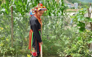Bắc Giang: Tập huấn kiến thức sản xuất nông nghiệp an toàn