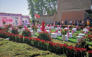 Chú rể tổ chức đám cưới ở nông thôn với 9999 bông hồng đỏ
