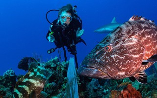 "Nữ hoàng đại dương" Sylvia Earle: U90 vẫn miệt mài bảo vệ môi trường dưới nước