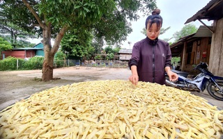 Rau rừng đặc sản giúp người dân Ma Coong thoát nghèo