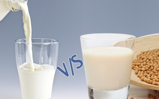 Sữa đậu nành hay sữa bò bổ dưỡng hơn? Câu trả lời khiến nhiều người phải chọn lại