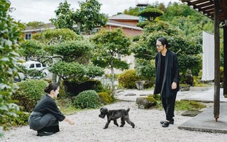 Cuộc sống thảnh thơi trong ngôi nhà vườn rợp bóng cây xanh của cặp vợ chồng người Nhật