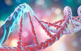 Các nhà khoa học phát hiện ra những gen mới, cho thấy con người vẫn đang tiến hóa!