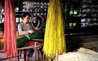 Tiền Giang: Phụ nữ là nhân tố tích cực góp phần xây dựng nông thôn mới 