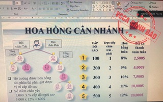 Ứng dụng điện tử chữa được Covid-19: Biến tướng mới của đa cấp 