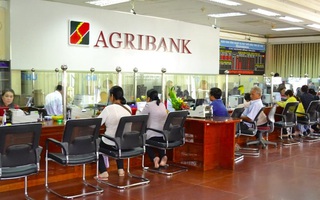 Agribank dành 30.000 tỷ đồng hỗ trợ khách hàng doanh nghiệp lớn