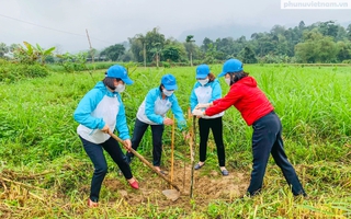 Phụ nữ Hà Giang trồng gần 7.000 cây xanh chào mừng Đại hội Phụ nữ lần thứ XIII
