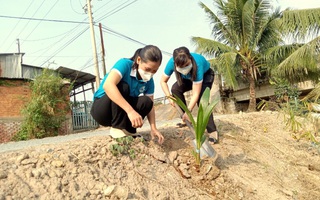 Phụ nữ Đồng Tháp trồng hơn 8.200 cây xanh 
