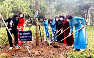 Hà Nội: Lan tỏa tinh thần "mỗi phụ nữ một cây xanh"