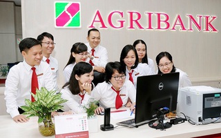 “Giỏi việc ngân hàng, đảm việc nhà” - những đóa hồng Agribank tỏa sáng