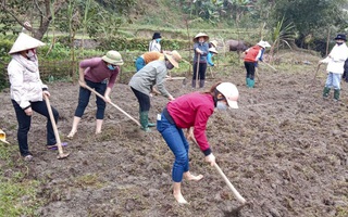 Phụ nữ Hà Giang: Nhiều cách làm hay cải tạo vườn tạp, phát triển kinh tế vườn hộ