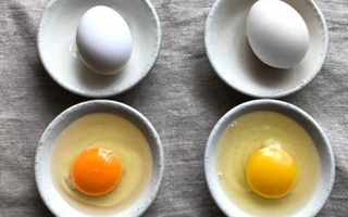 Trứng gà có lòng đỏ đậm hay nhạt thì bổ dưỡng hơn? 