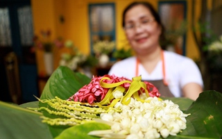 Độc đáo hoa gói, hoa đĩa của người Hà thành