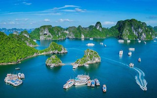 Bình chọn cho du lịch Việt Nam tại Giải thưởng World Travel Awards 2022