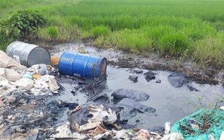 Thải hóa chất độc vào môi trường đất, nước bị phạt đến 50 triệu đồng