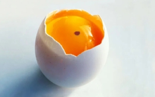 Dấu hiệu trên quả trứng gà nhiều người sợ không dám ăn, chuyên gia lại khuyên ngược lại