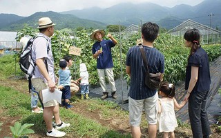Thú vui điền viên của dân thành thị Nhật Bản: Thuê đất trồng rau, nghỉ việc về làm nông dân 