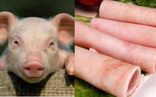 Ở lợn có 1 thứ có thể bơm collagen, ổn định đường huyết, dưỡng mạch máu tốt