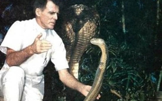 Bí ẩn người đàn ông miễn nhiễm với nọc độc rắn, bị rắn cắn gần 200 lần không chết