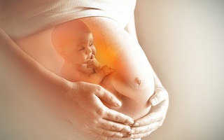 Quá trình phát triển các giác quan của thai nhi và những việc mẹ bầu nên làm