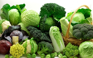 4 sai lầm khi ăn rau cải phí dinh dưỡng và dễ gây ngộ độc
