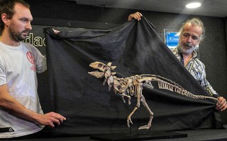 Bất ngờ phát hiện một loài khủng long hoàn toàn mới tại Argentina 
