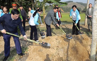 Lãnh đạo Hội LHPN Việt Nam hưởng ứng Tết trồng cây tại Thanh Hóa