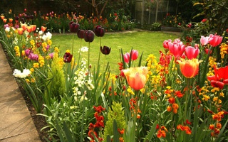 Những ý tưởng trang trí sân vườn sáng tạo trong mùa xuân