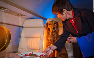 Thú vui kỳ lạ của giới nhà giàu khi đi du lịch: Gội đầu bằng nước có ga, thuê máy bay cho chó