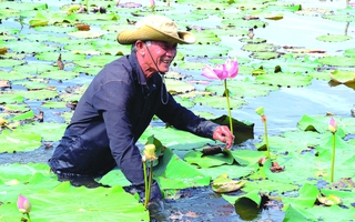 Lão nông biến đất hoang thành khu vườn 4 mùa hoa nở