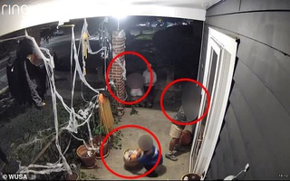 3 đứa trẻ lò dò bước tới cửa, hành động tiếp theo khiến gia chủ không kịp trở tay, xem camera phát hiện chi tiết phẫn nộ