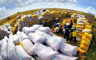 Doanh nghiệp và Chủ tịch Hội đồng quản trị Gạo Trung An (TAR) bị phạt hơn nửa tỷ đồng