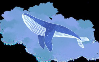 Vì sao cá voi xanh không bị ung thư?