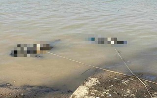 Phát hiện 2 thi thể nổi trên sông Lam