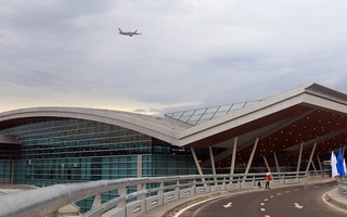 Chó chạy vào sân bay Đà Nẵng khiến máy bay phải hủy hạ cánh
