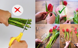 Giữ hoa tươi lâu hơn nhờ những mẹo siêu đơn giản mà hiệu quả