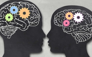 Não của nam và nữ phản ứng với căng thẳng khác nhau?
