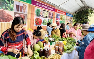 Kết nối các sản phẩm nông sản với Phiên chợ quê cuối năm
