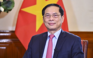 Bộ trưởng Ngoại giao: 3 trọng tâm để phát huy "ngoại giao cây tre Việt Nam"