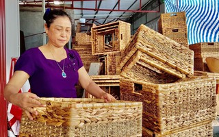 Nữ doanh nhân đầu tiên đưa sản phẩm cỏ tế xuất ngoại