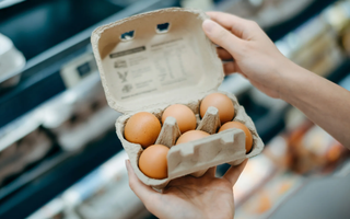 Người dân Mỹ đau đầu vì giá trứng tăng mạnh, phong trào nuôi gà "tự cung tự cấp" nở rộ