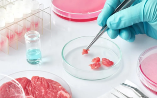 Thịt nuôi cấy trong phòng thí nghiệm liệu có thể thay thế "thịt thật" trong tương lai?